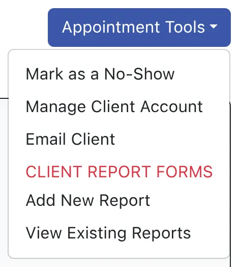 Appointment tools menu at the top of the appointment form.
