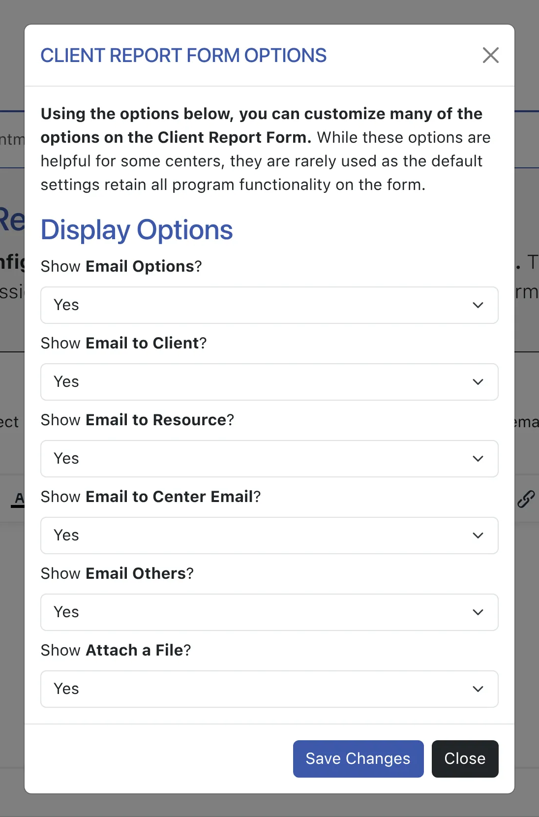 CRF Display Options